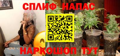 мяу мяу мука Краснознаменск