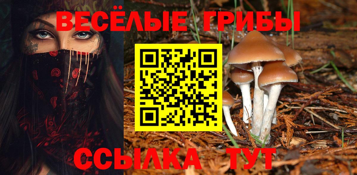 Галлюциногенные грибы ЛСД Тихвин