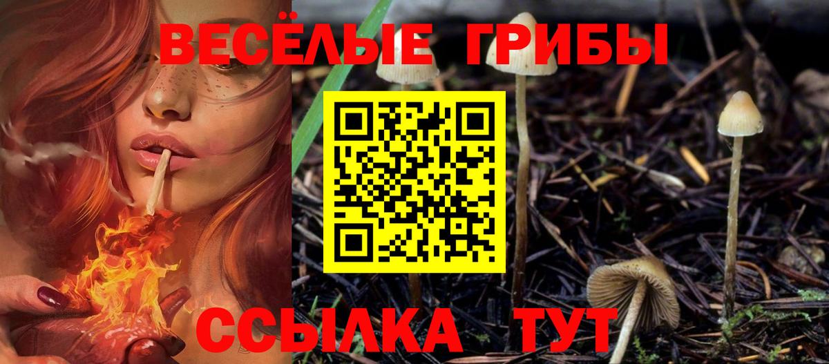 Галлюциногенные грибы Cubensis  Вход с VPN  закладки  Тихвин 